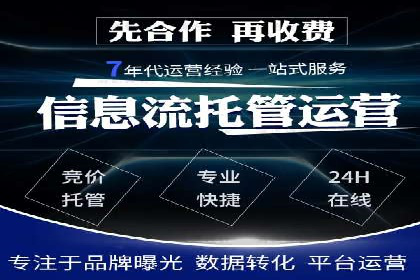 搜索引擎营销（SEM）专员的挑战与机遇